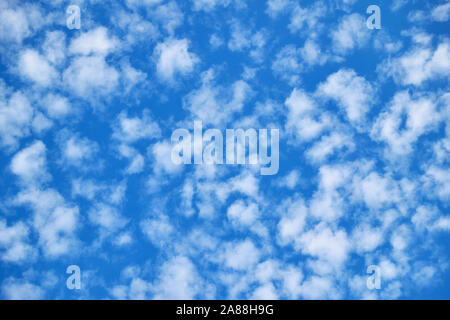 Blue sky with lots small white clouds, may be used as background Stock Photo