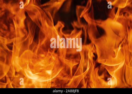 Blaze red fire natural texture. Dangerous firestorm abstract background. Motion blur from fire, high temperature from flames. Stock Photo
