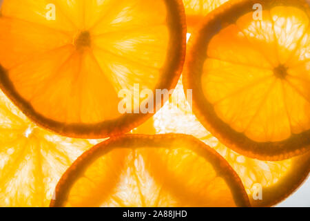 Orange slices back lighting. Stock Photo