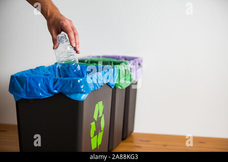 Hand putting single-use plastic bottle into recycling bin. Person in a house kitchen separating waste. Black trash bin with blue bag and recycling Stock Photo