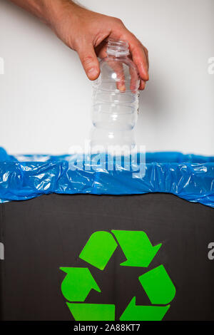 Hand putting single-use plastic bottle into recycling bin. Person in a house kitchen separating waste. Black trash bin with blue bag and recycling Stock Photo