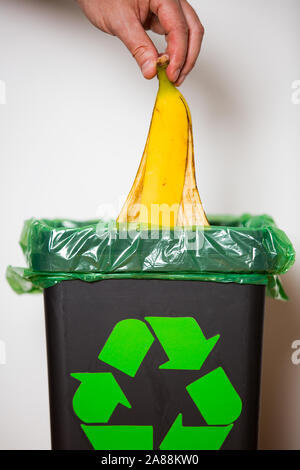 Hand putting banana peel in recycling bio bin. Person in a house kitchen separating waste. Black trash bin with green bag and recycling symbol. Stock Photo
