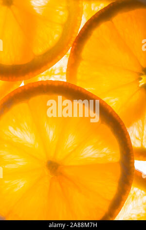 Orange slices back lighting. Stock Photo