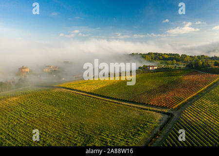 Aerial view of a rural landscape during sunrise in Tuscany. Rural farm, vineyards, green fields, sunlight and fog. Italy, Europe. Stock Photo