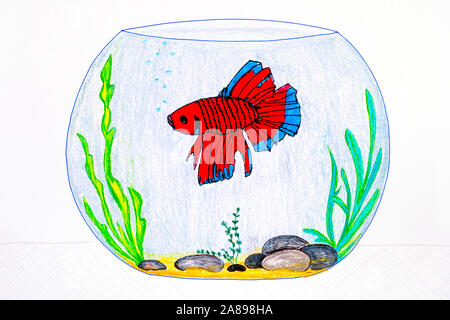 How to Draw a Fish Tank - Really Easy Drawing Tutorial-saigonsouth.com.vn