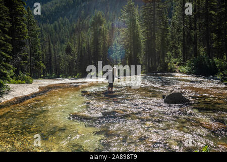 Woman wading through river by Sawtooth Mountains in Stanley, Idaho, USA Stock Photo