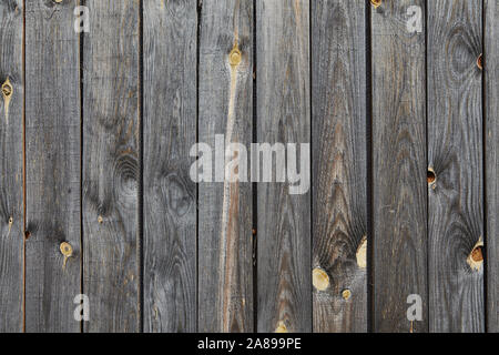 Wooden wall texture of an old barn from faded and weathered gray pine boards with a knotted surface, abstract background. Stock Photo