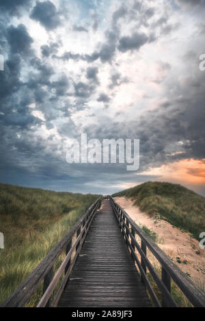 Wooden path through high grass hill, sandy dune, on Sylt island, at North Sea, Germany, at sunset. Bridge over dunes, a protected area in northern. Stock Photo