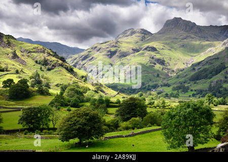 Loft and Thorn Crag peaks with highest Harrison Stickle from Great Langdale valley Lake District National Park England