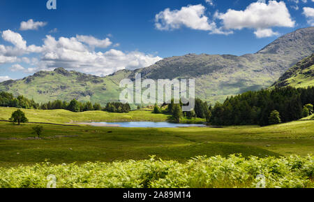 Blea Tarn pond in Little langdale valley with Wetherlam and Birk Fell hills Lake District National Park England Stock Photo