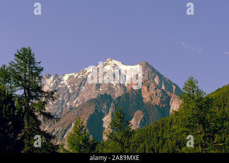 Pine forest on background of mountain peaks. Tourism in mountain valley Stock Photo