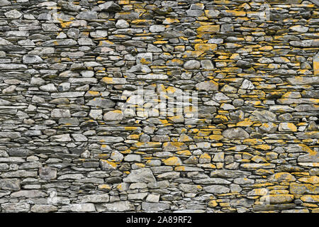 Abstract yellow lichen on drystone wall at Fell Foot Farm in Little Langdale Lake District National Park Cumbria England Stock Photo