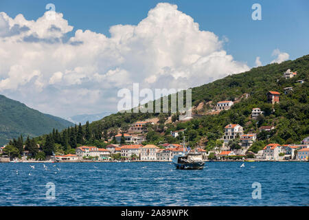 The beautiful little hamlet of Rose, on Luštica Peninsula, Montenegro, from Boka Kotorska Stock Photo