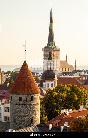 View of Old Town in Tallinn, Estonia from the Patkuli viewing platform Stock Photo