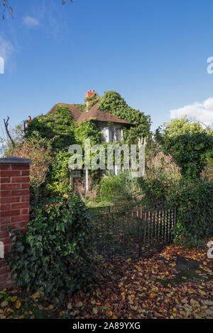 Old run down dilapidated house covered in ivy Stock Photo