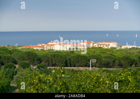 Vineyards and a marina in front of sailing boats on the sea Stock Photo