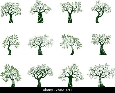 Set of Green Isolated Olive Trees on white background. Vector Illustration and concept pictogram. Plant in garden. Stock Vector