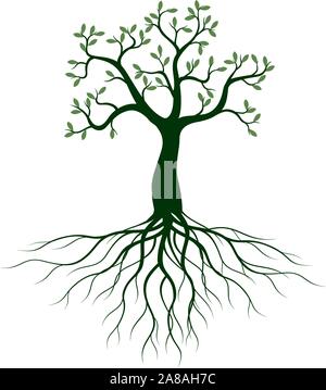 Green Isolated Tree on white background. Vector Illustration and concept. Plant in garden. Stock Vector