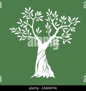 White Isolated Olive Tree on green background. Vector Illustration and concept. Plant in garden. Stock Vector