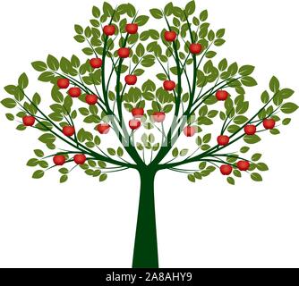 Green Vector Isolated Apple Tree on white background. Red Apple Fruits. Vector Illustration and concept. Plant in garden. Stock Vector