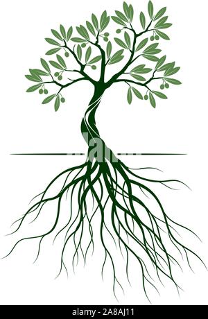 Green Isolated Olive Tree on white background. Vector Illustration and concept pictogram. Plant in garden. Stock Vector