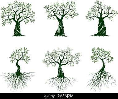 Set of Green Isolated Olive Trees on white background. Vector Illustration and concept pictogram. Plant in garden. Stock Vector
