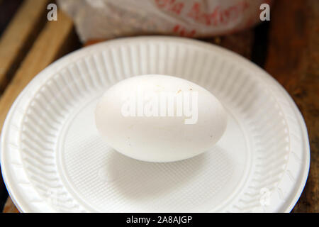 White eggs in white plate . White eggs on a plate on the background in woiden pastel color . Stock Photo