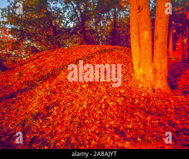 Ancient mound in dawn light, Effigy Mounds National MOnumnet, Iowa, Fire POint, Above Mississippi River Woodland Indian Mounds built 500-1300 BC Stock Photo