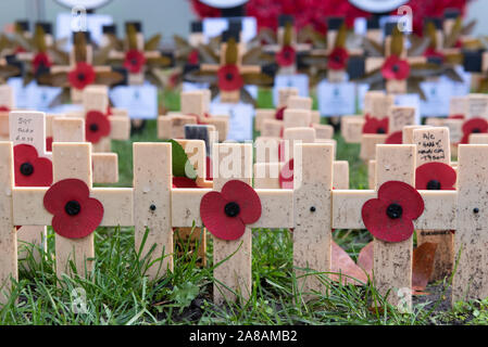 London, UK. 7th Nov, 2019. Photo taken on Nov. 7, 2019 shows wooden crosses at the 91st Field of Remembrance at Westminster Abbey in London, Britain. The Field of Remembrance has been held in the Abbey's grounds since 1928. This year, hundreds of small crosses bearing poppy petals have been planted in the Field of Remembrance to pay tribute to British servicemen and women who have lost their lives in conflicts. Credit: Ray Tang/Xinhua/Alamy Live News Stock Photo