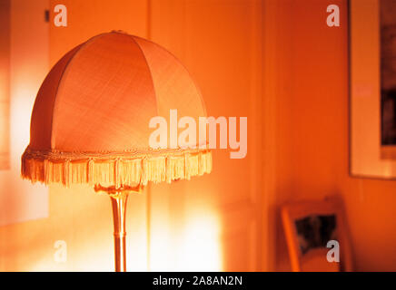 Lamp shade on floor lamp inside house, Brussels, Belgium Stock Photo