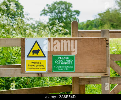 Warning sign saying keep dogs on lead due to sheep grazing, kindness may kill & do not feed horses, East Lothian, Scotland, UK Stock Photo