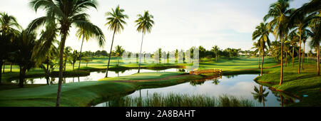 Golf course with palm trees at Isla Navadad Resort in Manzanillo, Colima, Mexico Stock Photo