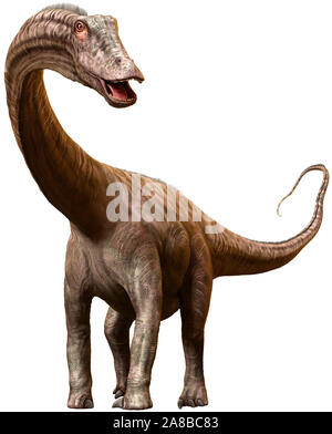 Diplodocus dinosaur from the Jurassic era 3D illustration Stock Photo
