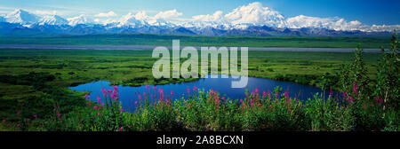 Landscape with fireweed flowers (Epilobium latifolium), lake and distant Mount McKinley and Alaska Range mountains, Denali National Park, Alaska, USA Stock Photo