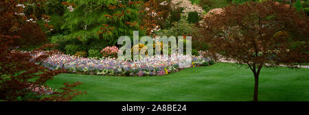 Flowers in a garden, Butchart Gardens, Brentwood Bay, Vancouver Island, British Columbia, Canada Stock Photo