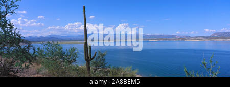 Saguaro cactus (Carnegiea gigantea) at the lakeside with a mountain range in the background, Lake Pleasant, Arizona, USA Stock Photo