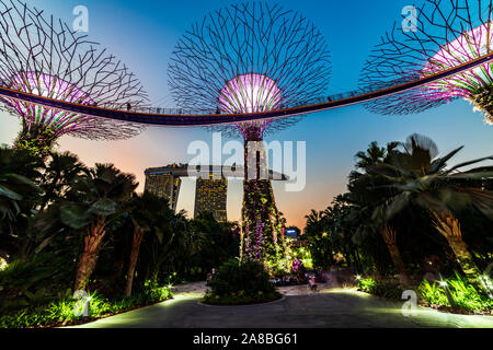 Famous destinations Garden By The Bay tourism travel tourist attraction Supertree Grove during blue Stock Photo