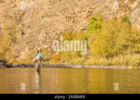 A woman fly fishes on the Poudre River on a sunny fall afternoon. Stock Photo