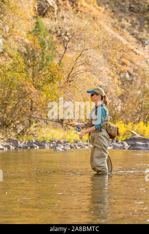 A woman fly fishes on the Poudre River on a sunny fall afternoon. Stock Photo