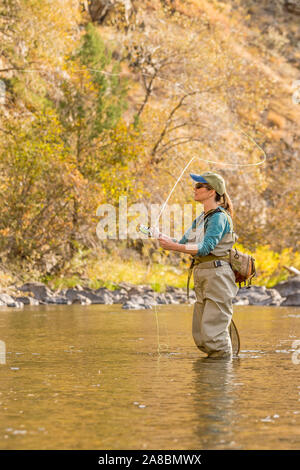 A woman fly fishes on the Poudre River on a sunny fall afternoon. Stock Photo