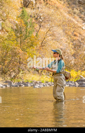 A woman fly fishes on the Poudre River on a sunny fall afternoon. Stock Photo