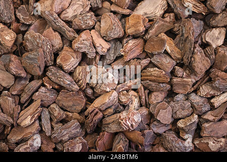 Shredded texture pieces of natural tree bark close-up. Chopped eco wood chips for decorative design Stock Photo