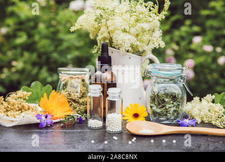 Homeopathic medicine pills on wood table, globules in jars and on wood spoon, decorated with fresh and dry various herbal plants outdoors in summer, g Stock Photo