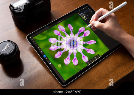 BATH, UNITED KINGDOM - NOVEMBER 7, 2019 : Close up of a woman using an iPad Pro running the iOS Adobe Photoshop App to make a selection of an Osteospe Stock Photo