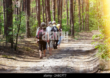 Elderly people is walking on trail in forest. Sunny summer day. Active retired seniors walking in green park. Stock Photo