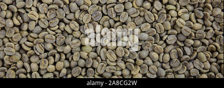 Coffee beans green color unroasted full background texture, banner Stock Photo