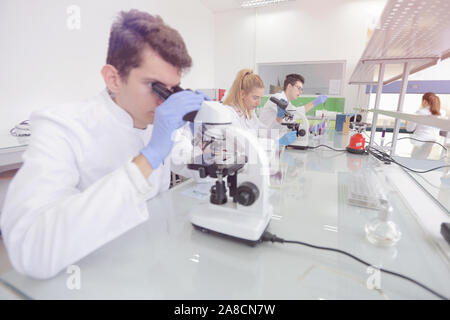 Group of young Laboratory scientists working at lab with test tubes and microscope, test or research in clinical laboratory.Science, chemistry, biolog Stock Photo