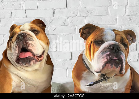 Couple of pied red and white bulldog closeup portrait illustration in oil painted style. Two dogs on light brick wall textured background with copy sp Stock Photo