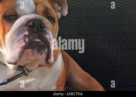 Pied red and white bulldog closeup portrait illustration in oil painted style. One dog head on dark textured background with copy space Stock Photo