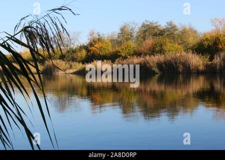 Lake shoreline reflecting in the water with blue sky with sea grass in foreground, focus on background Stock Photo